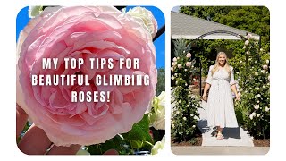 My Top Tips for Beautiful Climbing Roses  How I Care for My Eden Climbing Rose Arch [upl. by Anailli]