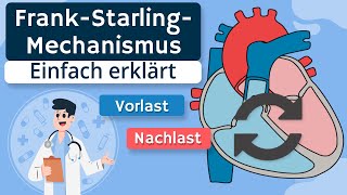 FrankStarlingMechanismus einfach erklärt [upl. by Yremogtnom]