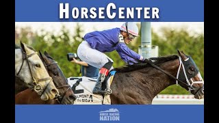 Cigar Mile and Remsen Stakes top picks on HorseCenter [upl. by Gough]