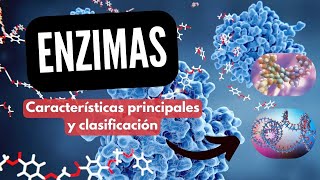 ENZIMAS CATALIZADORES BIOLÓGICOS I CLASIFICACIÓN Y CARACTERÍSTICAS PRINCIPALES [upl. by Anilah]