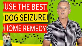 Home Remedies For Seizures In Dogs CBD is The KEY  Heres Why [upl. by Neelsaj]