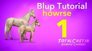 Howrse  Blup Tutorial Part 1 [upl. by Aloin]