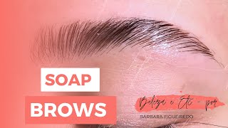 COMO FAZER SOBRANCELHAS SOAP BROW COM SABONETE DE GLICERINA  BROW LAMINATION PROVISÓRIA [upl. by Acyssej]