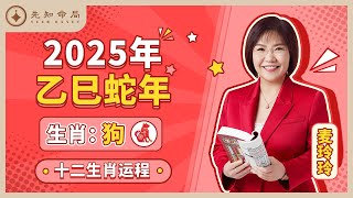 麦玲玲师傅详解2025蛇年运程：生肖狗！事业运、财运、人际关系、爱情、婚姻、健康全解析！ [upl. by Nnaacissej]