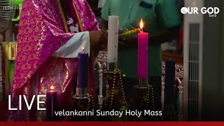 velankanni live mass today  velankanni live [upl. by Karl368]