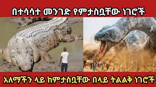 አለም ላይ ያሉ ነገር ግን በዚህ ትልቀት የማታውቋቸው አስገራሚ ነገሮች amaizing things in the worldZena Addis [upl. by Anilemrac54]