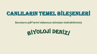 Canlıların Temel Bileşenleri 1 [upl. by Akiem]