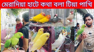 মেরাদিয়া পাখির হাট  Cockatiel bird low price  Parrot price in Bangladesh  meradia pakhir hat [upl. by Nhoj]