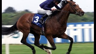 Galileo  Irish Derby 2001 [upl. by Sexton]