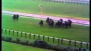 Flemington horse race finishes 1980 [upl. by Shepperd768]