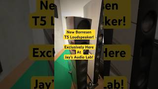 Jay’s Audio Lab Exclusive  Borresen T5 Loudspeakerhighendaudio audioequipment loudspeaker [upl. by Onofredo]