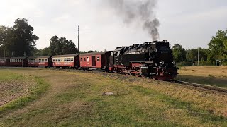 🚂🚂💪💪🌲🌲 99 7243 verlässt mit viel Getöse den Bahnhof Gernrode Harz 06092024 🌲🌲💪💪🚂🚂 [upl. by Indnahc581]