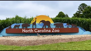 North Carolina Zoo Full Tour  Asheboro North Carolina July 2 2022 Our Trip to NC Zoo 2022 [upl. by Ayouqes719]