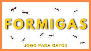 Jogos para gatos  FORMIGAS 🐜 [upl. by Ollayos]