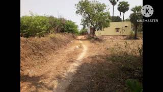 8 ACRES AGRICULTURE LAND SALES NEAR IN CHENNAI PONNERI MINJUR  PALAVERKADU ELAVUR MADURAI [upl. by Eniotna]