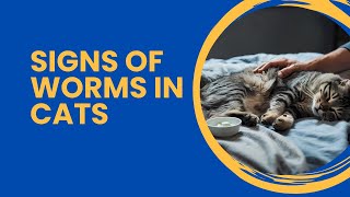 Worms in cats  Identifying signs and symptoms [upl. by Airrehs166]