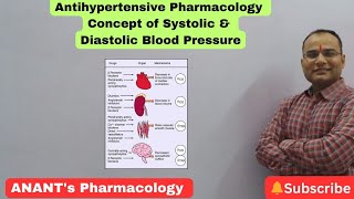 Systolic amp Diastolic Blood Pressure [upl. by Danaher151]