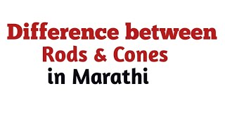 Difference between Rods and Cones [upl. by Brittani]