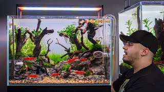 Aquascaping Tutorial Nano Garnelen Aquarium einrichten [upl. by Gow172]