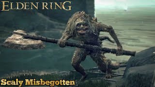 ELDEN RING SCALY MISBEGOTTEN BOSS FIGHT [upl. by Fogel]