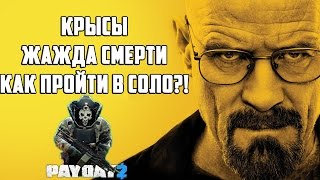 Крысы ЖАЖДА СМЕРТИ СОЛО  Payday 2  Проверка бага с турелью  БЫСТРЫЙ ФАРМ ОПЫТА [upl. by Anirtal]