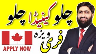 Canada Free Visa Sponsorship 2023  کینیڈا کا مفت ویزا [upl. by Daveda]