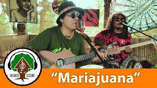 Mariajuana  by Bagani  Treehouse Sessions [upl. by Smallman]