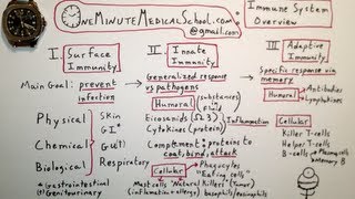 Immune System Overview  One Minute Medical School [upl. by Retepnhoj]