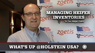 Whats Up at Holstein USA Heifer Inventories [upl. by Atenahs631]