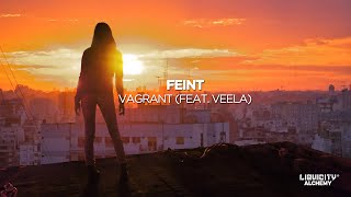 Feint  Vagrant feat Veela [upl. by Ecirtael]