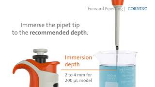 Corning® Lambda™ EliteTouch™ Pipettor  Forward Pipetting Technique [upl. by Garrison845]