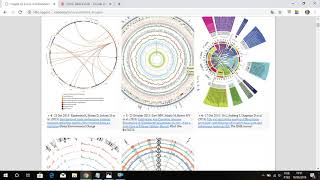 Gráfico de Circos Plot em 5 minutos [upl. by Litha88]