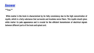 White matter has a fatty consistency [upl. by Nelleus]