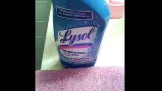 Cleaning With Lysol Toilet Bowl Cleaner [upl. by Leffert]