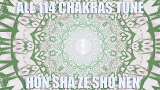 All 114 chakras meditation Hon Sha Ze Sho Nen Reiki Light for ALL CHAKRAS entire path UP to Source [upl. by Arihsay]