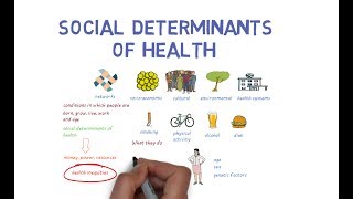 What Makes Us Healthy Understanding the Social Determinants of Health [upl. by Pinelli]