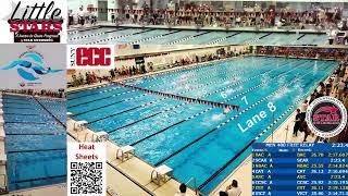 LC Speedo Sectionals  Saturday PM Finals  32523 [upl. by Fawcette]