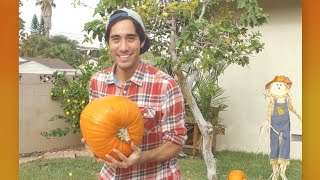 Help Zach King make a pumpkin [upl. by Reid454]