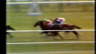 Show Gate NZ 1977 Trentham Stakes [upl. by Dowlen]