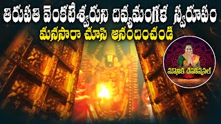 తిరుపతి వెంకటేశ్వరుని దివ్యమంగళ స్వరూపం  Balaji Temple  Inside Tirumala Tirupati Temple [upl. by Alywt15]