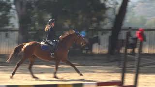 Jeneé Sally 70cm showjumping [upl. by Thrift]