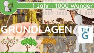 📚 1 Jahr  1000 Wunder  Grundlagen Teil G Phänologie amp Phänologischer Kalender  BotanikWissen [upl. by Nivk185]