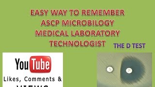 The Diffusion test D test Easy way to remember Microbilogy ASCP [upl. by Kasey]