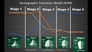 The Demographic Transition Model [upl. by Mailiw]