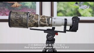 Canon EF 600mm F4 IS II  Sachtler FSB8T  Gitzo GT4542LS [upl. by Barram]