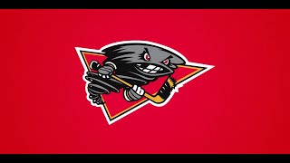 Cincinnati Cyclones 1998 IHL Goal Horn [upl. by Kaasi]