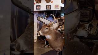 CUTTING A Taxidermy DEER Mount IN HALF with a CHAINSAW [upl. by Sternick]