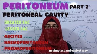 Peritoneal Cavity  part 2 Greater sac Lesser sac clinical problems ayeshamedicaleducation [upl. by Kiran906]