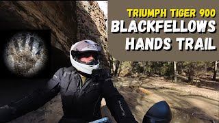 Triumph Tiger 900  Blackfellows Hands Trail in the Blue Mountains [upl. by Stelle]