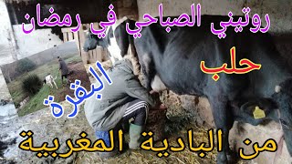 روتيني الصباحي في رمضان من البادية المغربية تحدي العيش في الطبيعه البرية مباشر حلب البقرة [upl. by Broek46]